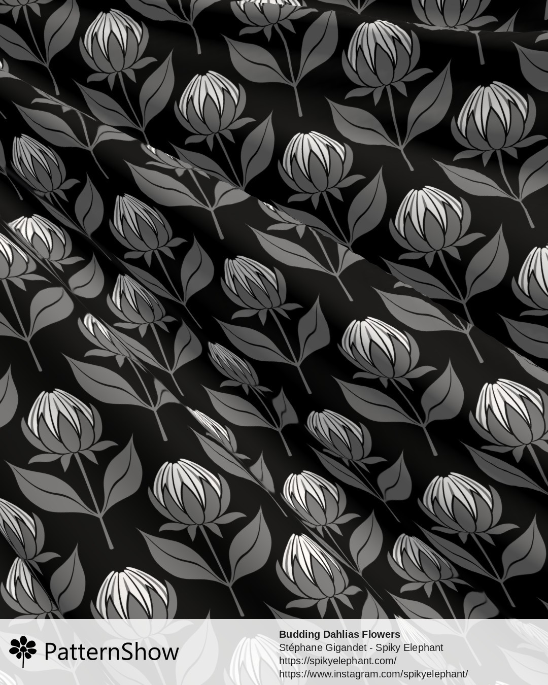 Budding Dahlias Flowers - budding-dahlias.black-white-grey.3600x3600