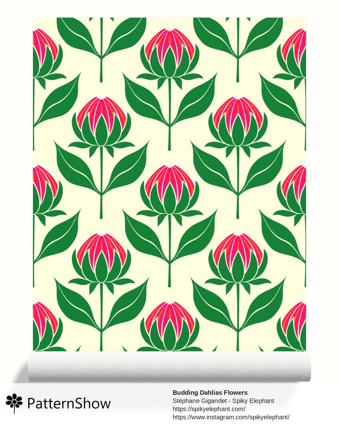 Budding Dahlias Flowers wallpaper - budding-dahlias.pink-orange-yellow-cream.3600x3600