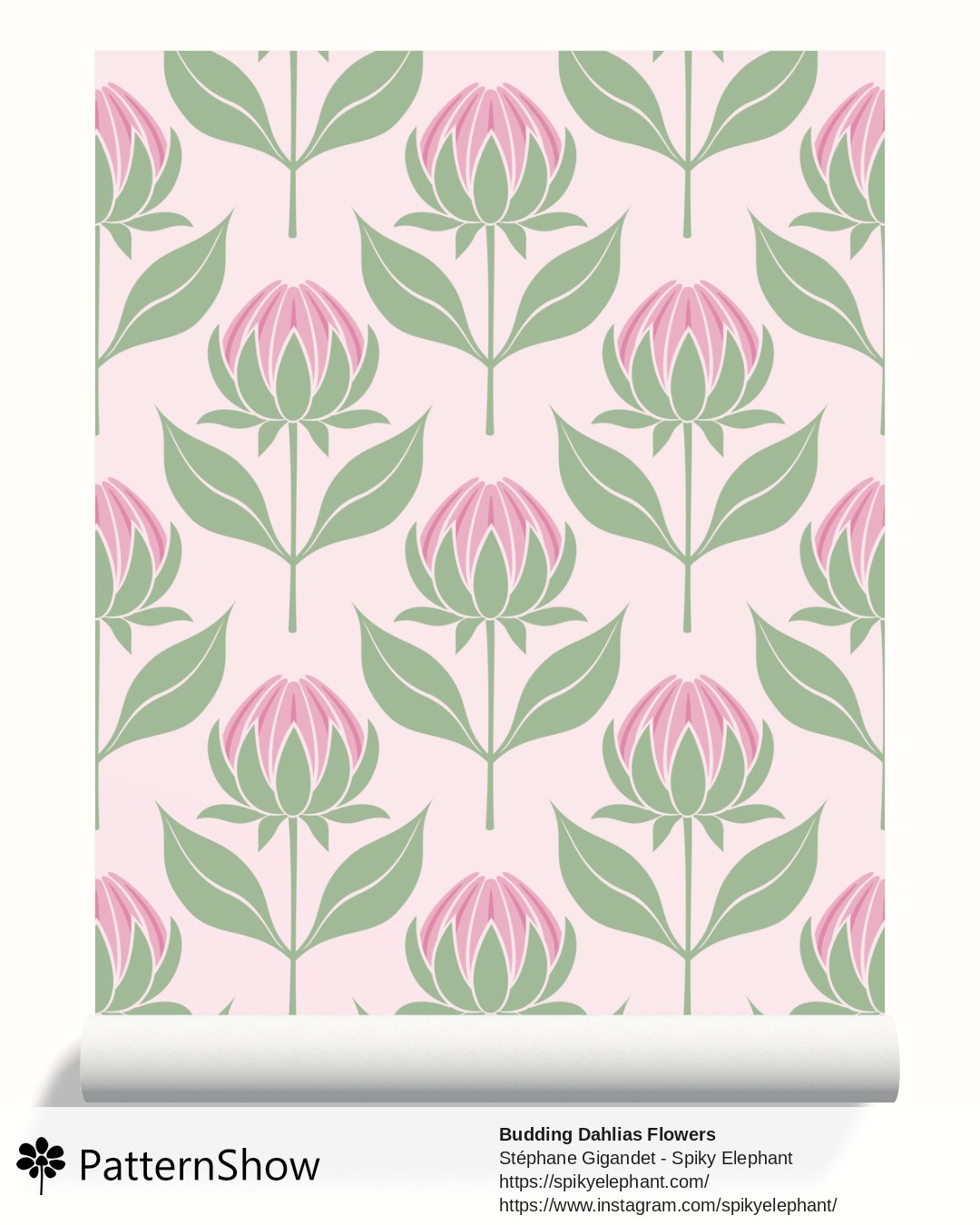 Budding Dahlias Flowers wallpaper - budding-dahlias.pink-cream.3600x3600