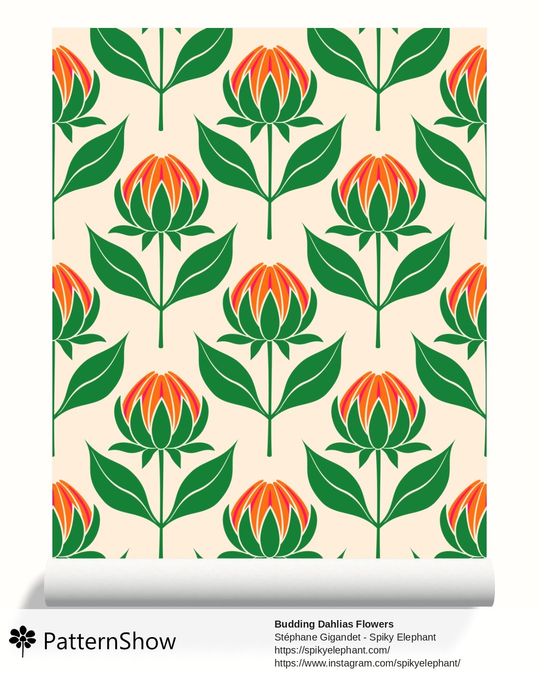 Budding Dahlias Flowers wallpaper - budding-dahlias.orange-pink-peach-cream.3600x3600