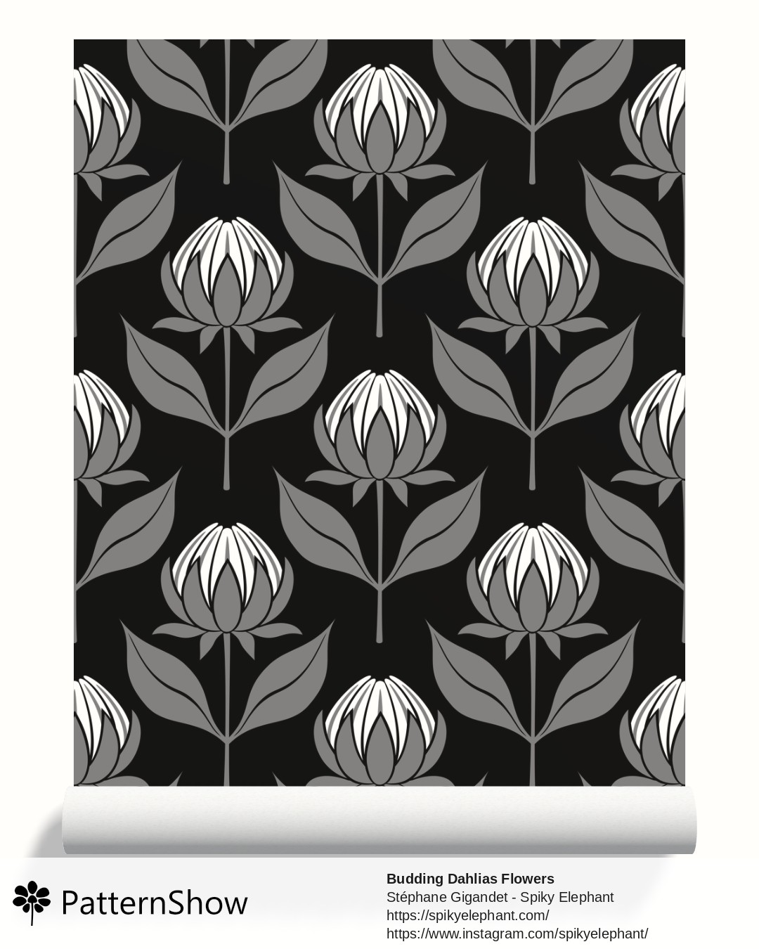 Budding Dahlias Flowers wallpaper - budding-dahlias.black-white-grey.3600x3600