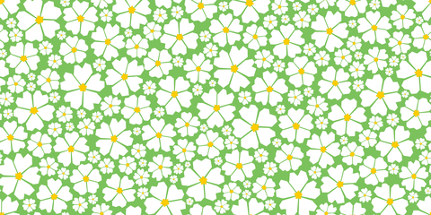 White on Garden Green