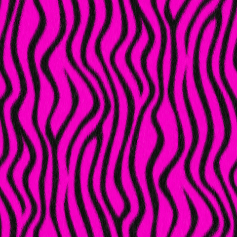 zebra-stripes2.hot-pink-black.3600x3600