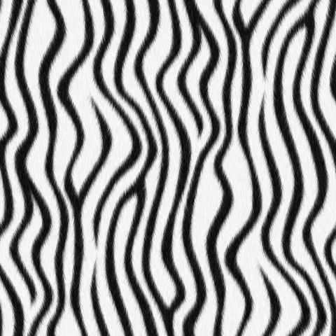 zebra-stripes2.black-white.3600x3600