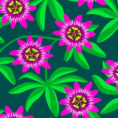Pursue Your Passion - Passionfruit Flowers and Tropical Leaves - Hot Pink and Green on Teal Background