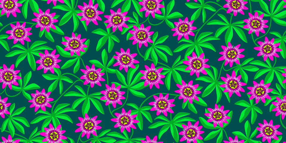 Hot Pink and Green on Teal Background