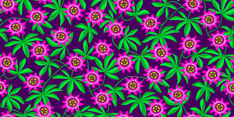 Hot Pink and Green on Purple Background