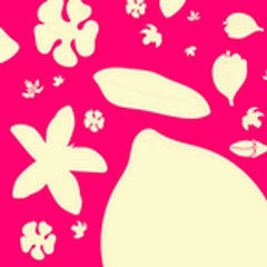 bright pop art lemon seamless pattern in pink and cream - bright pop art lemon seamless pattern in pink and cream