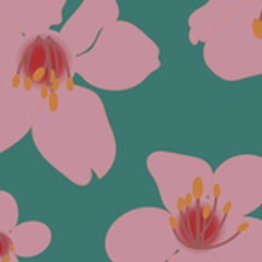 Pink Cherry Blossom Scatter  on Teal Background  - Pink Cherry Blossom Scatter  on Teal Background V2_stock