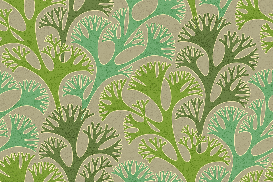 Dark Sage Green Artichoke Moss
