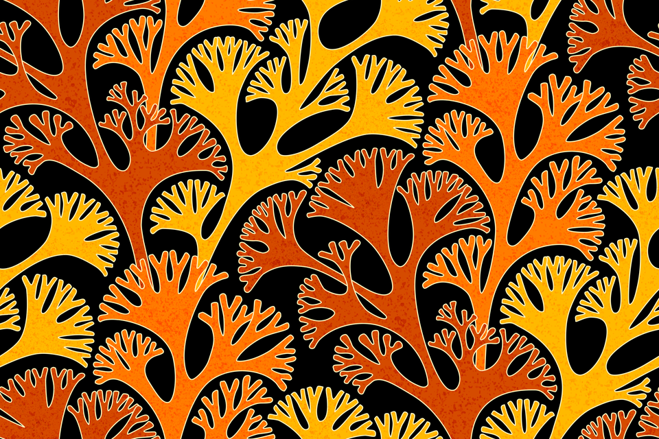 Halloween Orange Red Yellow Black