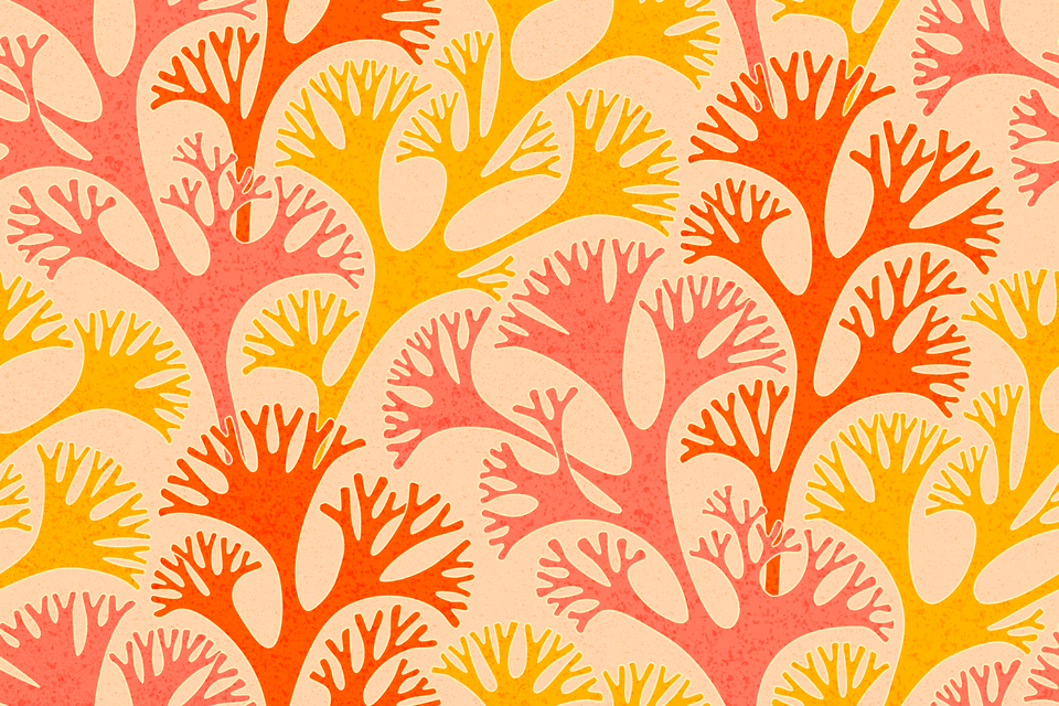 Salmon Pink Orange Yellow Gold Peach