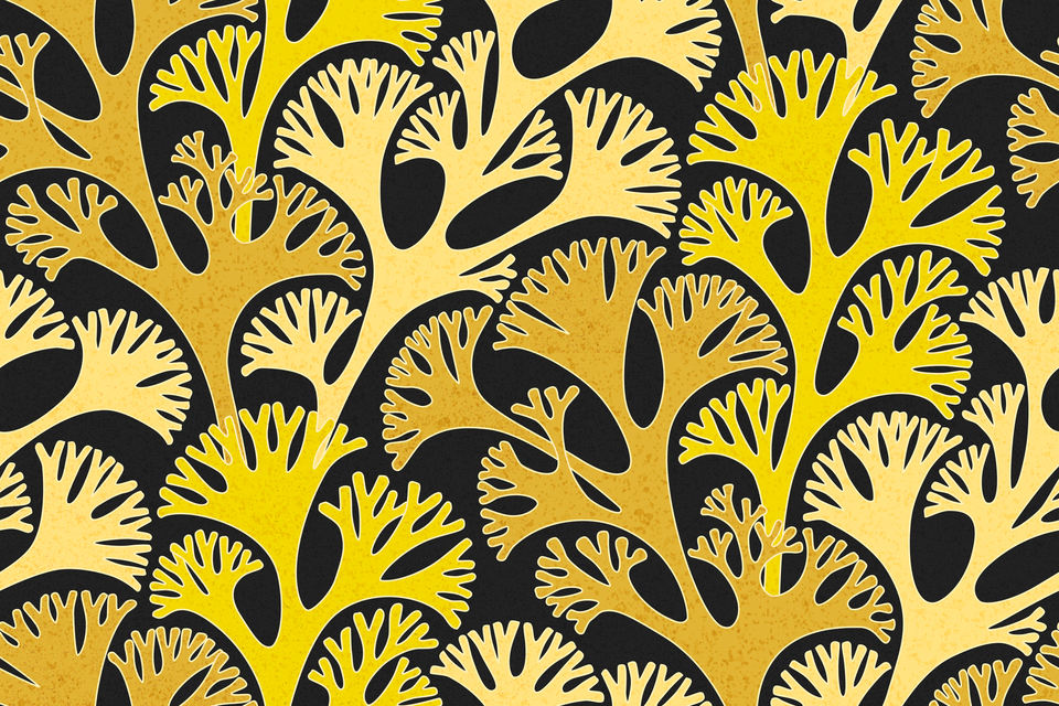 Golden Yellow Beige Cream Brown Teal