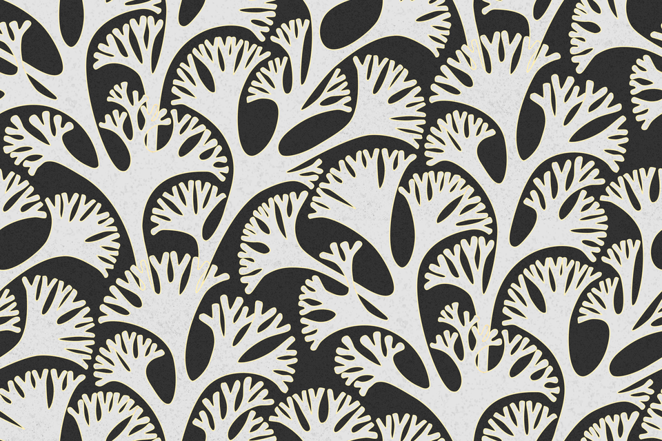 Monochrome Grey White Dark Black