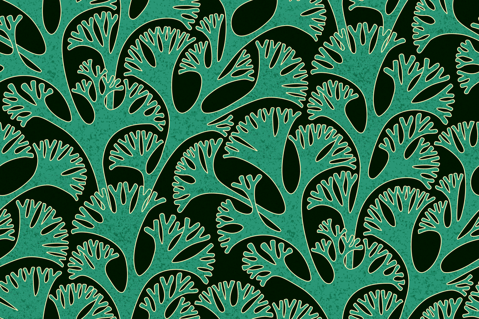 Emerald Green Malachite Black