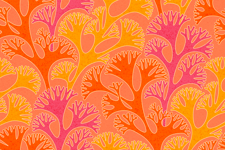 Coral Golden Yellow Salmon Orange Pink