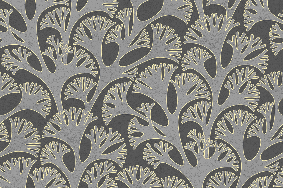 Monochrome Neutral Grey Shades