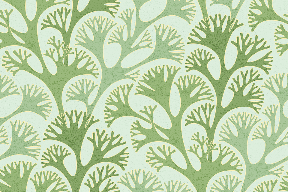 Misty Tea Fern Green Sage Olive