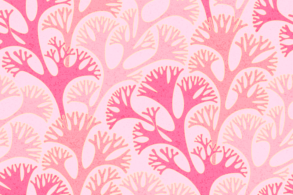 Shabby Chic Hot Pink Pastel Rose Gold