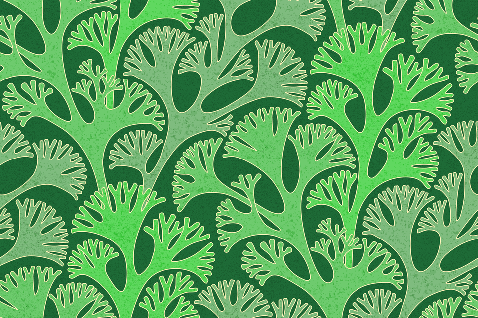 Fun Glowing Neon Kelly Lime Green