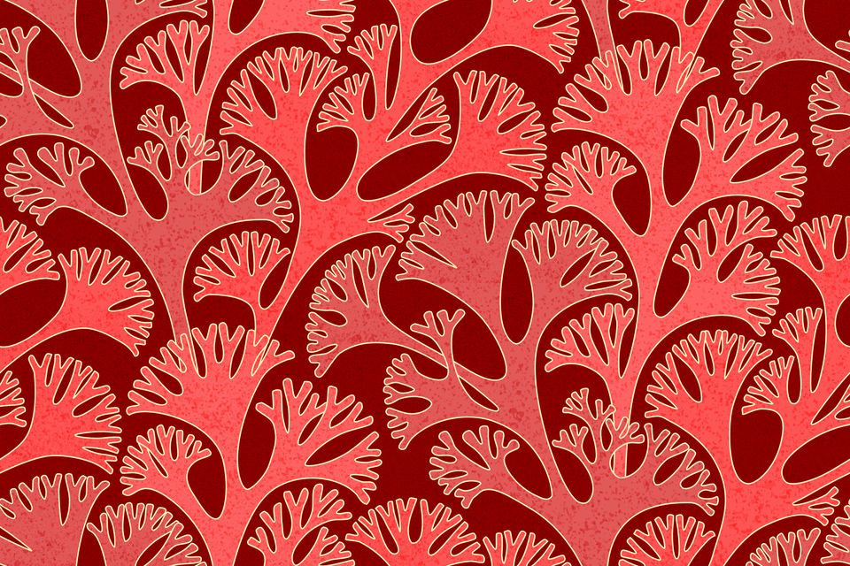 Scarlet Tomato Blood Red Maroon