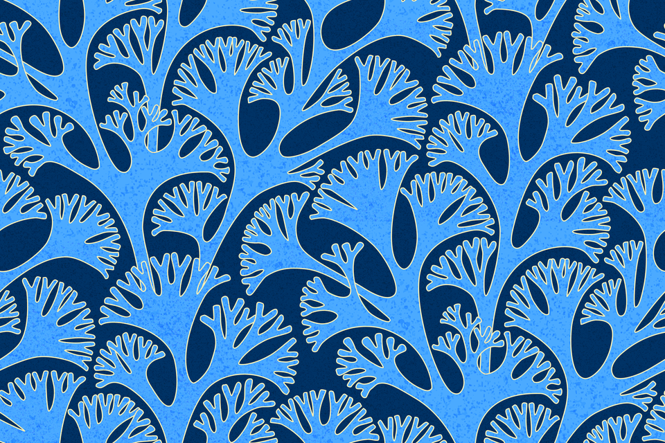 Cerulean Denim Deep Ocean Navy Blue