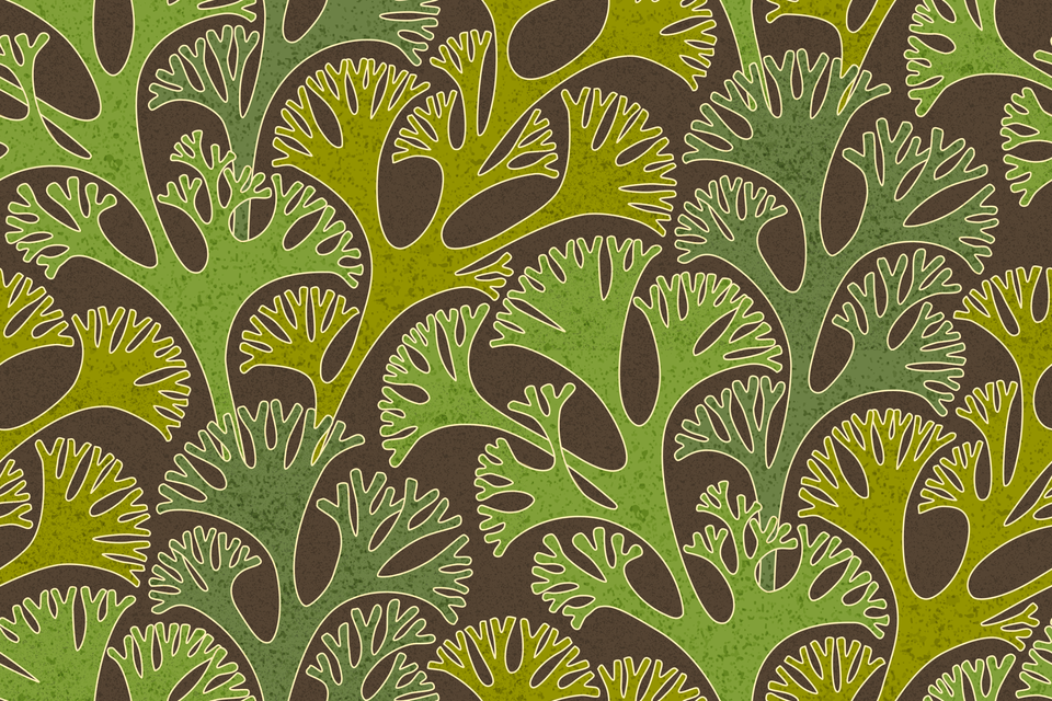 Murky Swamp Olive Fern Green Brown