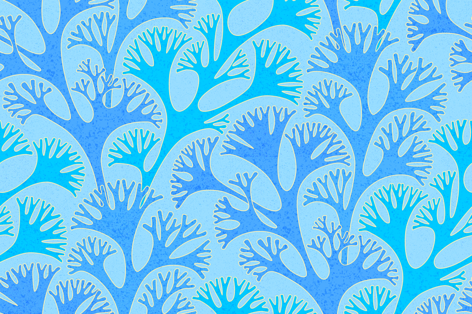 Azure Sky Blue Cobalt Sea Cornflower