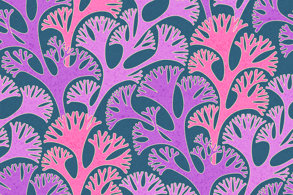 Pink Purple Violet Shabby Chic